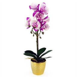 Leaf 50Cm Phalaenopsis Orchid Artificial - Purple / White - Gold Pot