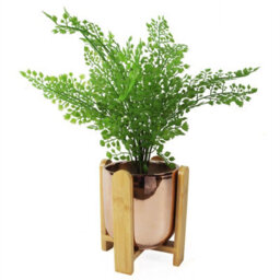 Leaf 16Cm Gold Ceramic Planter With Bamboo Stand - thumbnail 4
