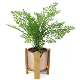 Leaf 16Cm Gold Ceramic Planter With Bamboo Stand - thumbnail 6
