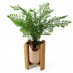 Leaf 16Cm Gold Ceramic Planter With Bamboo Stand - thumbnail 2