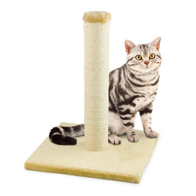 Kct Small Scratching Post For Indoor Cat Kitten Scratcher Scratch 40Cm Beige Pole With Natural Durable Sisal Heavy Duty Compact - image 1