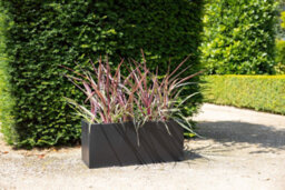 Primrose Gunmetal Black Galvanised Zinc Rectangular Garden Planter Plant Pot Large 70Cm X 30Cm - thumbnail 7