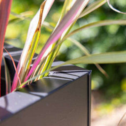 Primrose Gunmetal Black Galvanised Zinc Rectangular Garden Planter Plant Pot Large 70Cm X 30Cm - thumbnail 4