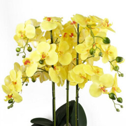 Leaf 60Cm Orchid Artificial Yellow - Black Ceramic Planter - thumbnail 2