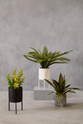 Orsina Minimalist Thyme, Versatile Thyme With Leaves And Decorative Classic Comcrete Planter For Artificial Flowers - thumbnail 3