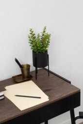 Orsina Minimalist Thyme, Versatile Thyme With Leaves And Decorative Classic Comcrete Planter For Artificial Flowers - thumbnail 5
