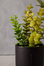 Orsina Minimalist Thyme, Versatile Thyme With Leaves And Decorative Classic Comcrete Planter For Artificial Flowers - thumbnail 4