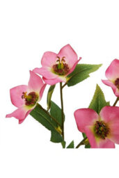 Natural Garden Collection Pink Variegated Hellebore Artificial Flower - thumbnail 2