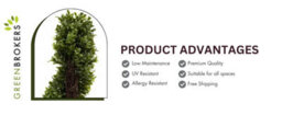 2 X Greenbrokers Artificial Spiral Boxwood Topiary Trees 5Ft/150Cm - thumbnail 6