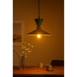 Luminosa Lighting Luminosa Amaris Dome Pendant Ceiling Light Brown, Black, Green 1X E27 - thumbnail 3
