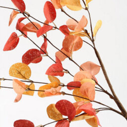 CLEFFNS 10Pcs Artificial Eucalyptus Stems Fall Decorations With Fall Eucalyptus Leaves Autumn Decorations For Office Home Artificial Plant - thumbnail 3