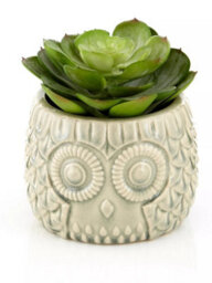 Orsina Fiori Large Succulent In Grey Ceramic Owl Pot Artificial Plant Foliage - thumbnail 2