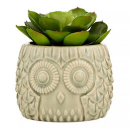 Orsina Fiori Large Succulent In Grey Ceramic Owl Pot Artificial Plant Foliage