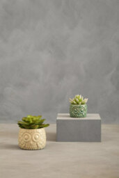 Orsina Fiori Large Succulent In Grey Ceramic Owl Pot Artificial Plant Foliage - thumbnail 4