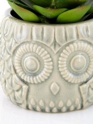 Orsina Fiori Large Succulent In Grey Ceramic Owl Pot Artificial Plant Foliage - thumbnail 5