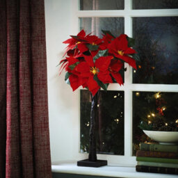 Freestanding Led Poinsettia Decoration - Artificial Flower Display Light With 10 Illuminated Heads - Measures H60Cm - thumbnail 3