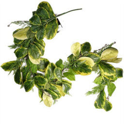 Leaf 180Cm Artificial Garland Hanging Trailing Golden Ficus Plant - thumbnail 1