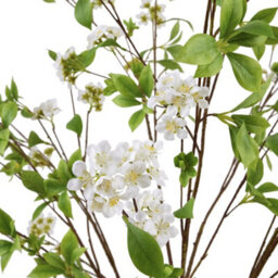 Wyld Haus Set Of 3 Tall Mock Orange Artificial Flower Sprays, 1350mm - thumbnail 3