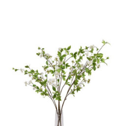 Wyld Haus Set Of 3 Tall Mock Orange Artificial Flower Sprays, 1350mm - thumbnail 2