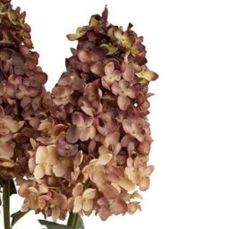 Hill Interiors Spear Hydrangea Artificial Flower Burgundy (One Size) - thumbnail 3
