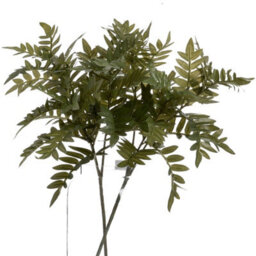 Wyld Haus Set Of 3 Artificial Pistach Bunch Greenery Stems 670mm For Vases And Bouquets - thumbnail 2