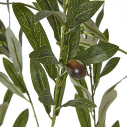 Wyld Haus 180Cm Mediterranean Artificial Olive Tree In White Pot - Tall Indoor Faux Plant - thumbnail 5