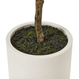 Wyld Haus 180Cm Mediterranean Artificial Olive Tree In White Pot - Tall Indoor Faux Plant - thumbnail 6