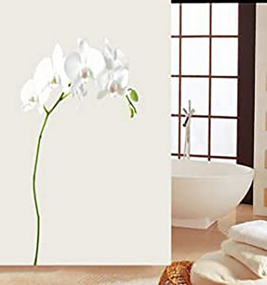 Kav Shower Curtain Bath Curtain Mould Mildew Resistant Water Repellent For Bathroom Solid White, 180X180Cm (White Jasmine Flower)