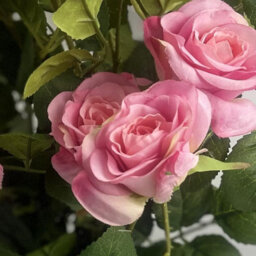 Leaf 60Cm Premium Rose Bush Pink Silk Flowers And Leaves - thumbnail 2