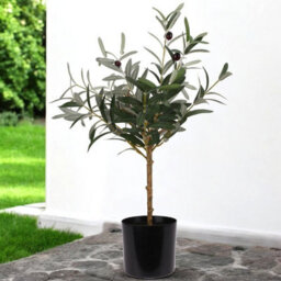 Urbn-Living Urbnliving 60Cm Height Artificial Olive Tree Plant Greenery In Pot Indoor Outdoor Home Office Decor - thumbnail 6