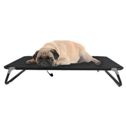 Actiaspet Elevated Dog Bed Pet Cat Raised Folding Camping Cot Indoor Outdoor Waterproof  Medium - thumbnail 5