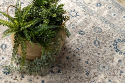 RugsX Carpet Wool Nain Ornament, Frame 7586/51635 Beige / Blue  80X150 Cm - thumbnail 5