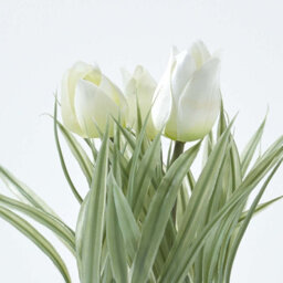 Homescapes Artificial White Handcrafted Tulips In White Decorative Pot, 22 Cm - thumbnail 4