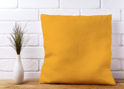 Warren Reed Designer Cantaloupe Orange Cushions 45Cm X 45Cm - thumbnail 2