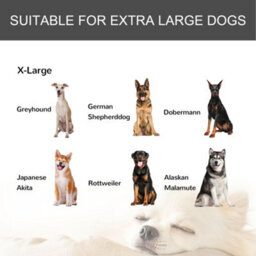 Pawhut 81X125Cm Metal Dog Cage Kennel W/ Locking Door & Wheels Extra Large Pets - thumbnail 8