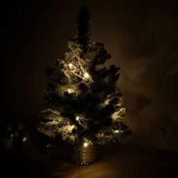 Samuel Alexander 2Ft (60Cm) Battery Operated Snow Flocked Mini Christmas Tree In Silver Pot With Warm White Leds - thumbnail 2