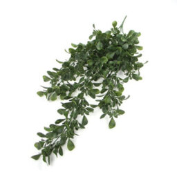 Leaf Pack Of 6 X Hanging Uv And Fire Resistant Artificial Peperomia Plant 68Cm - thumbnail 2