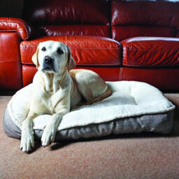 Rosewood Luxury Small Dog Bed Plush Boucle Teddy Pet Mattress