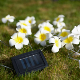 Gardenwize 2 Metre Solar Powered Flowered Led String Lights Wall Garden Fence Decking Patio Tree Lights