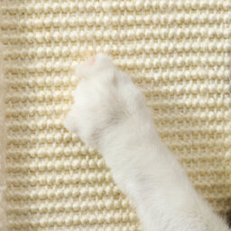 Pawhut 3-In-1 Cat Scratcher Post With Sisal Track Ball Toy, 67Cm, Light Oak - thumbnail 8