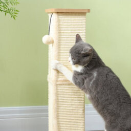 Pawhut 3-In-1 Cat Scratcher Post With Sisal Track Ball Toy, 67Cm, Light Oak - thumbnail 7