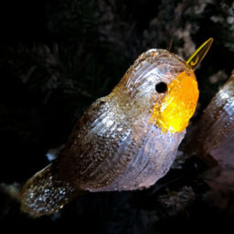 Samuel Alexander 5 Acrylic Indoor Outdoor Robin Christmas Lights With 30 Ice White Leds - thumbnail 2