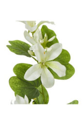 Cream Bauhinia Orchid Spray, Elegant Faux Floral Decor - thumbnail 2