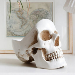 Suck Uk Skull Tidy Jewellery Organiser / Key Bowl & Room Decor White - thumbnail 2