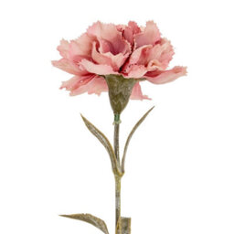 Wyld Haus Set Of 3 Pink Carnation Artificial Flower Stems 560mm - thumbnail 2