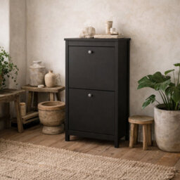 Wyld Haus Gossmere Shoe Cabinet Matt Black, 2-Door Freestanding - thumbnail 1