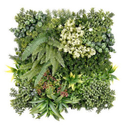 True Products Premium Artificial Living Wall Green Plant Panel 50Cm X 50Cm - Aurora 'c' - thumbnail 1