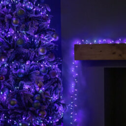 Samuel Alexander 18.7M 750 Led Treebrights Christmas String Lights On Clear Cable With Timer In Blue, Purple & White - thumbnail 2