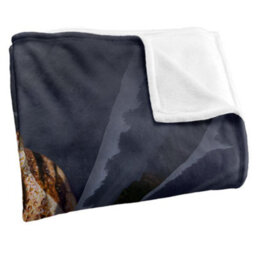 Jq Licensing Jlo Silky Dinosaur Supersoft Blanket Multicoloured (One Size) - thumbnail 3