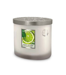 Heart and Home Heart & Home Lime Splash  Twin Wick Ellipse Soy Candle - 40 Hours Burn